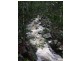 74 Domenica Dr, Sugarloaf QLD 4800