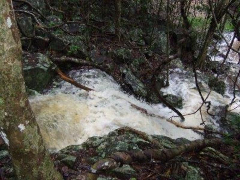 74 Domenica Dr, Sugarloaf QLD 4800