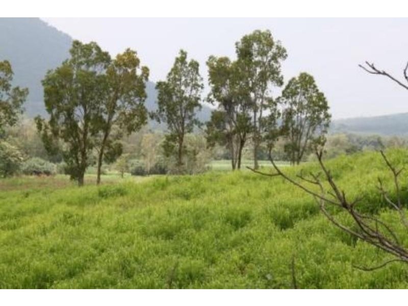 74 Domenica Dr, Sugarloaf QLD 4800