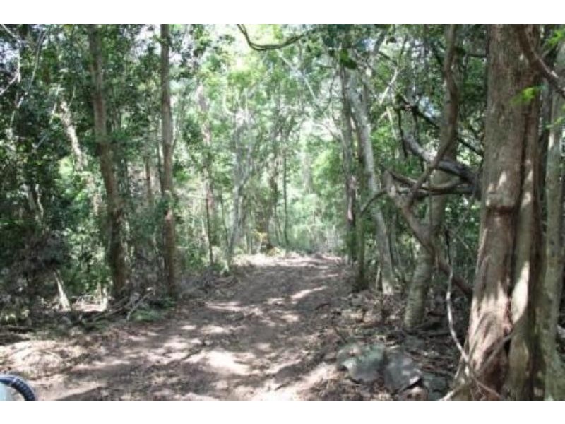 74 Domenica Dr, Sugarloaf QLD 4800