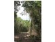 74 Domenica Dr, Sugarloaf QLD 4800