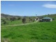 1131 Rouchel Rd, Aberdeen NSW 2336