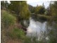1131 Rouchel Rd, Aberdeen NSW 2336