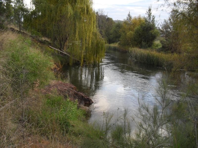 1131 Rouchel Rd, Aberdeen NSW 2336