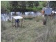 1131 Rouchel Rd, Aberdeen NSW 2336