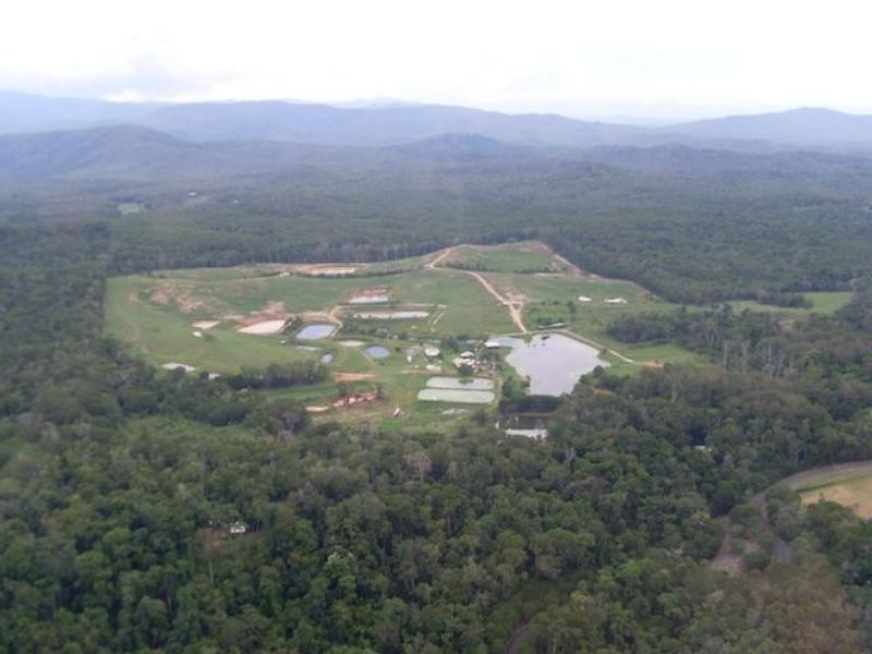 168 Stoney Creek Rd, Kuranda QLD 4881