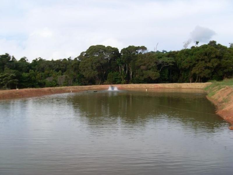 168 Stoney Creek Rd, Kuranda QLD 4881