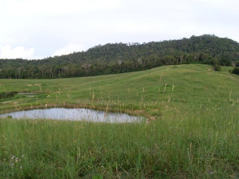 168 Stoney Creek Rd, Kuranda QLD 4881