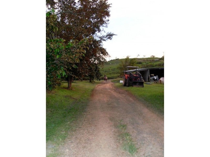 168 Stoney Creek Rd, Kuranda QLD 4881