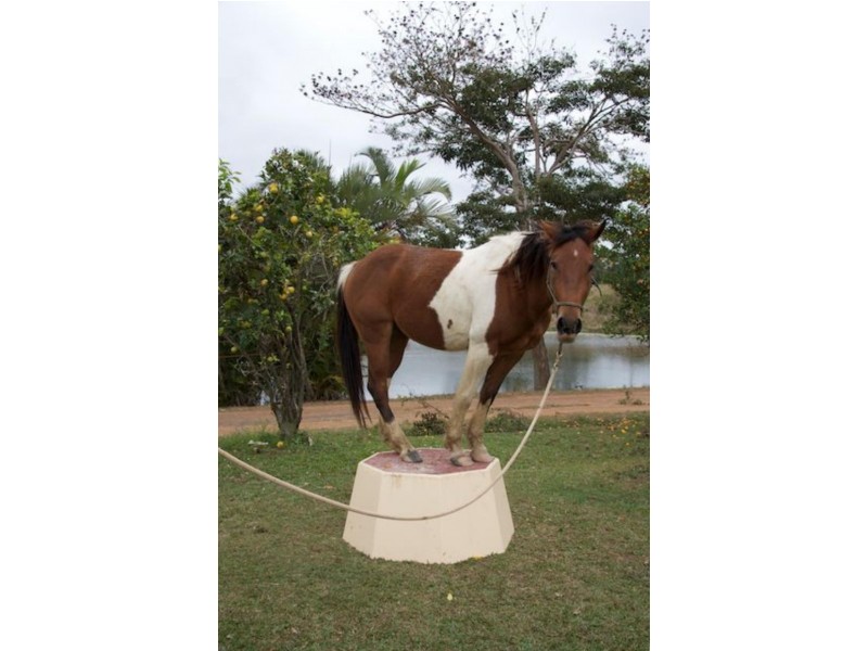 168 Stoney Creek Rd, Kuranda QLD 4881