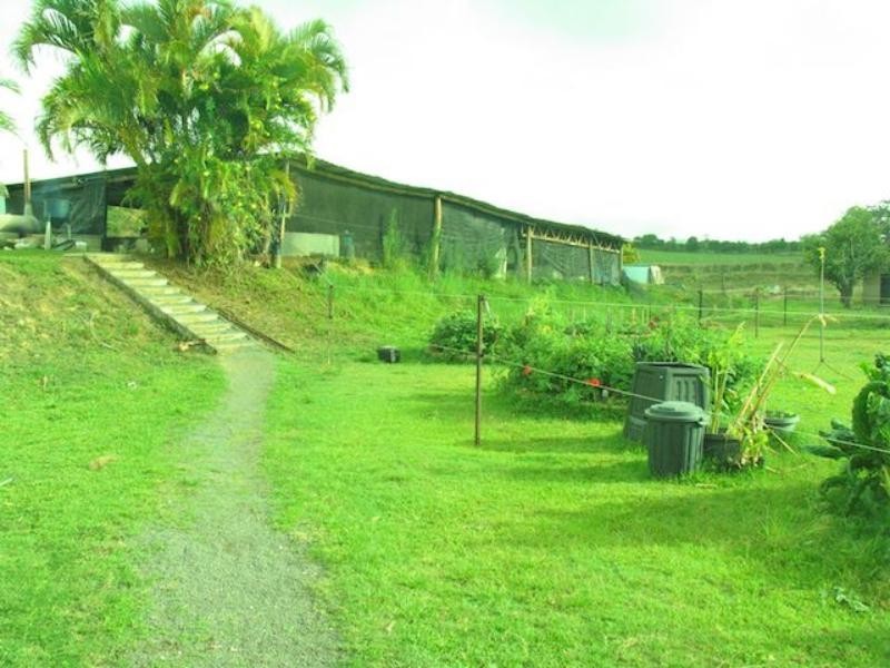 168 Stoney Creek Rd, Kuranda QLD 4881