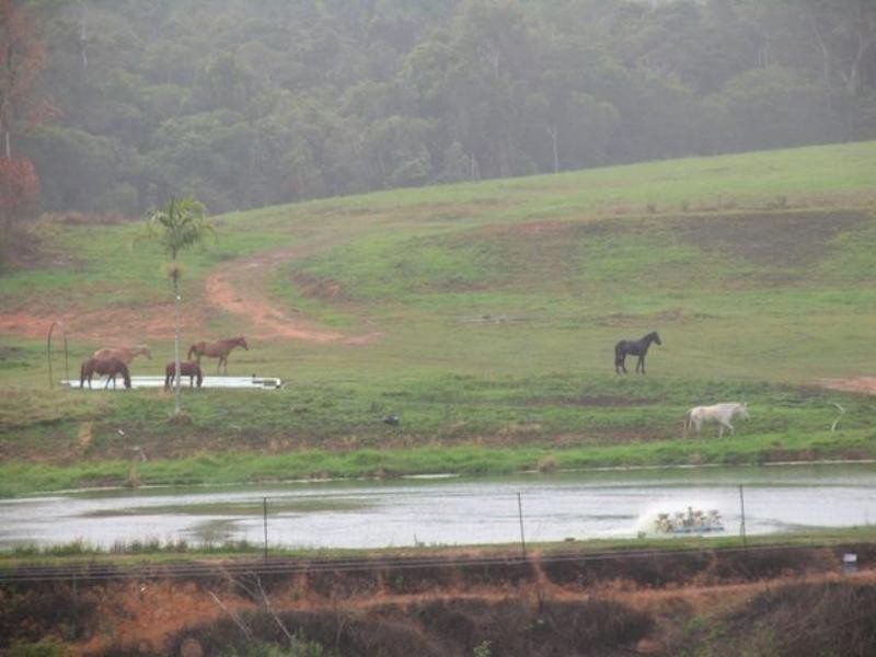 168 Stoney Creek Rd, Kuranda QLD 4881