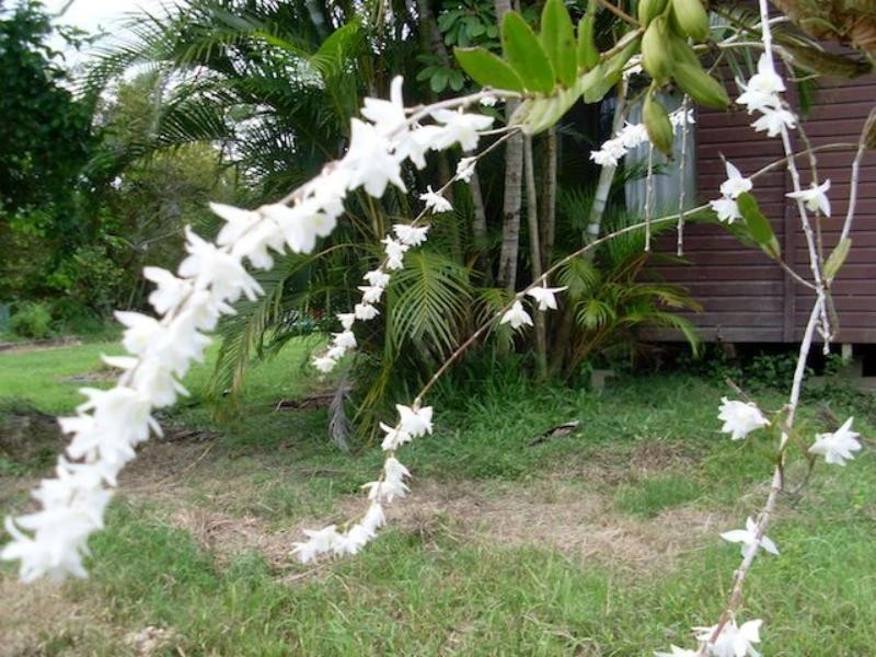 168 Stoney Creek Rd, Kuranda QLD 4881