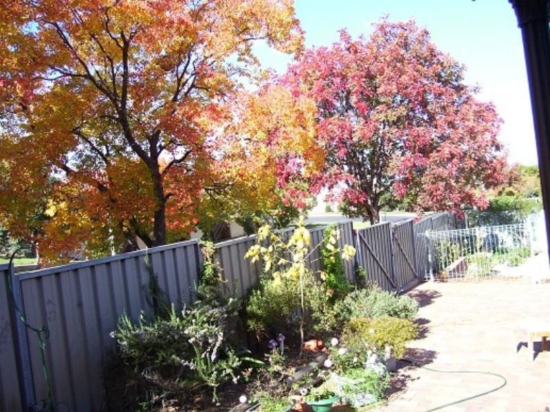13 Keswick St, Cowra NSW 2794
