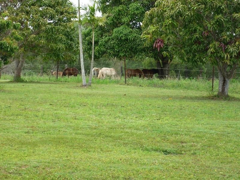 174 Oyster Creek Rd, Baffle Creek QLD 4674
