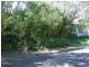 50 Twelfth Ave, St Lucia QLD 4067