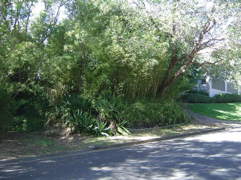 50 Twelfth Ave, St Lucia QLD 4067