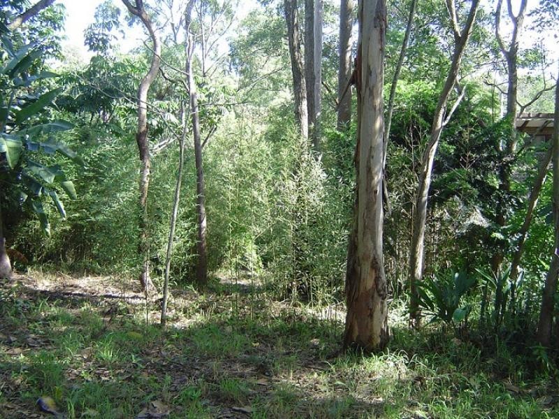 50 Twelfth Ave, St Lucia QLD 4067