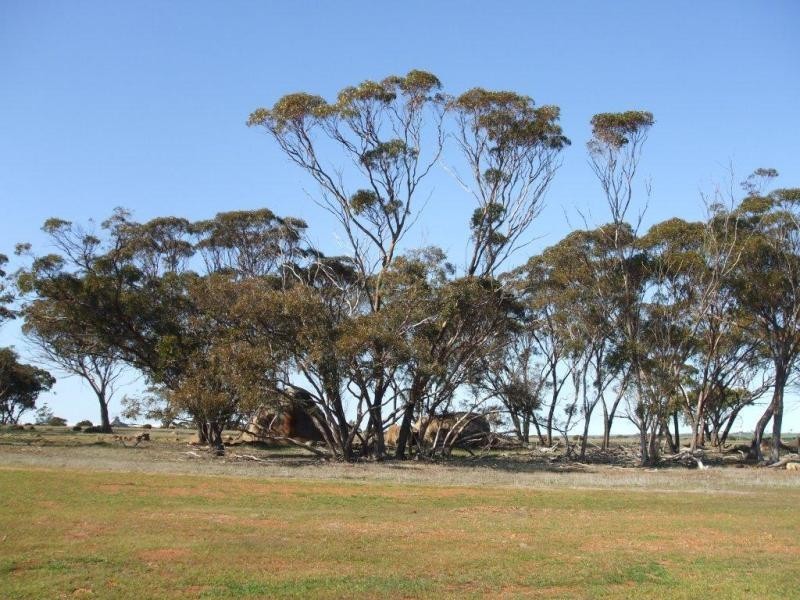 Kulin WA 6365