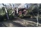 14 Nelson Rd, Katoomba NSW 2780