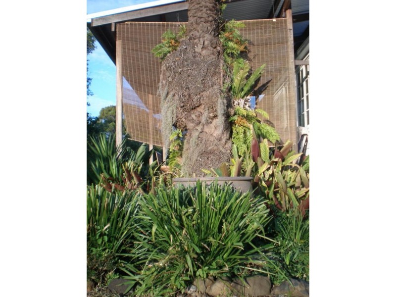 162 Blue Knob  Rd, Nimbin NSW 2480