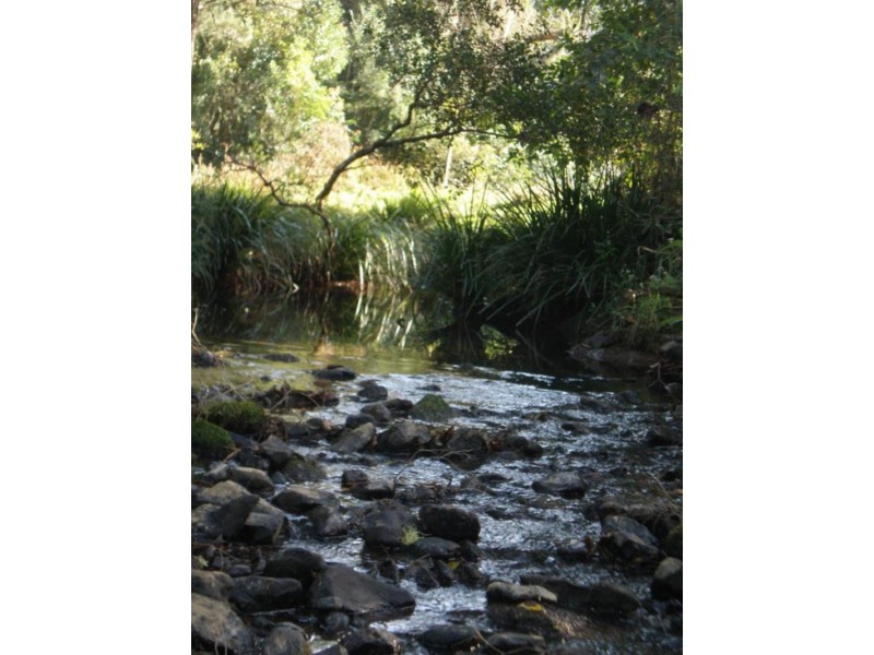 162 Blue Knob  Rd, Nimbin NSW 2480