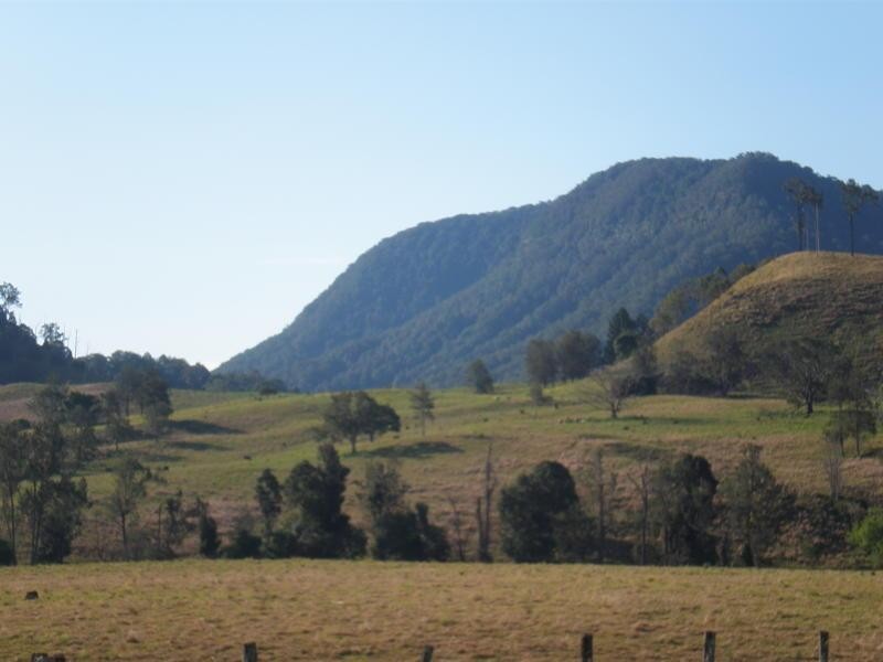 162 Blue Knob  Rd, Nimbin NSW 2480