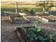 162 Blue Knob  Rd, Nimbin NSW 2480