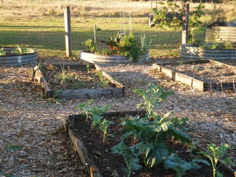 162 Blue Knob  Rd, Nimbin NSW 2480