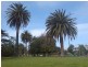 Caulfield East VIC 3145