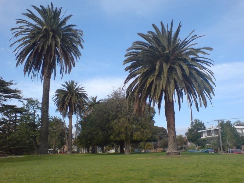 Caulfield East VIC 3145