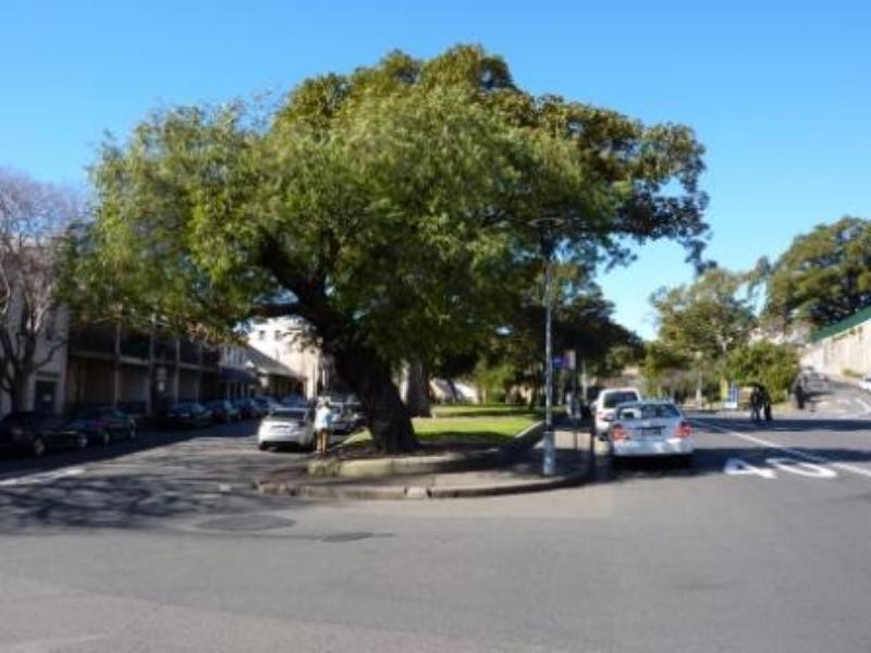 909/127 Kent St, Sydney NSW 2000