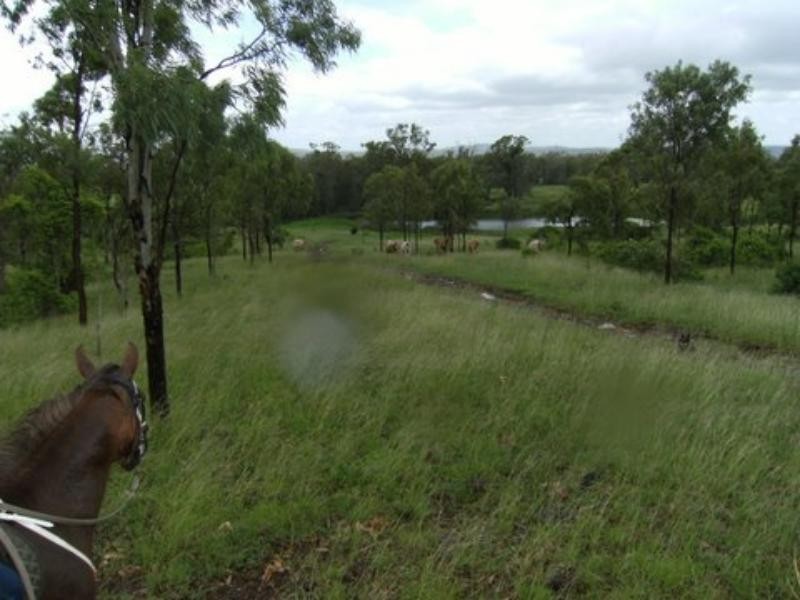 2308 Capricorn Hwy, Stanwell QLD 4702