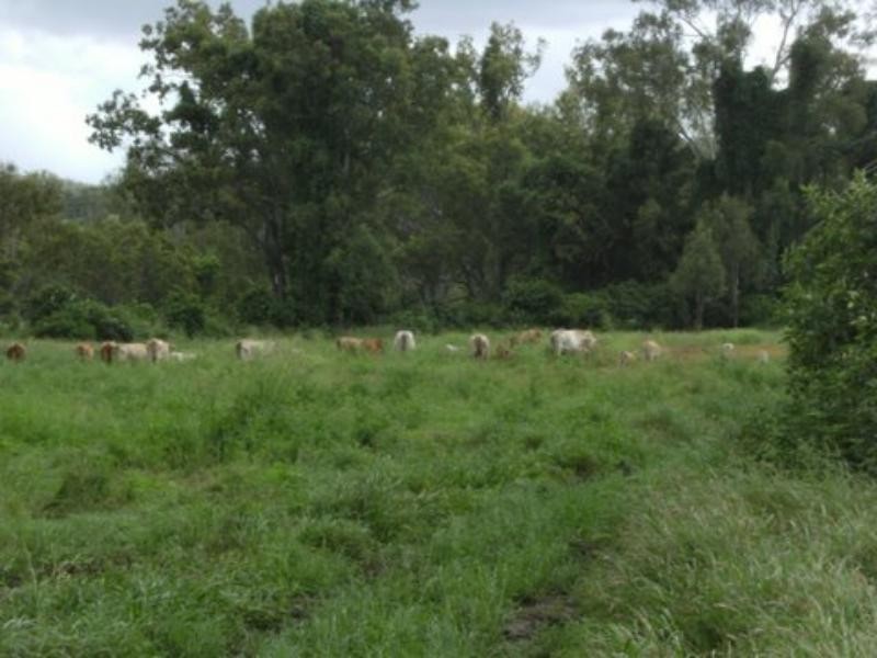 2308 Capricorn Hwy, Stanwell QLD 4702