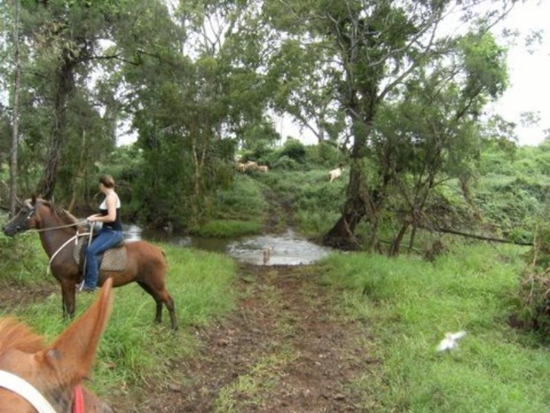 2308 Capricorn Hwy, Stanwell QLD 4702