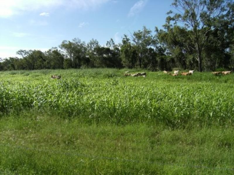 2308 Capricorn Hwy, Stanwell QLD 4702