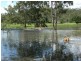 2308 Capricorn Hwy, Stanwell QLD 4702