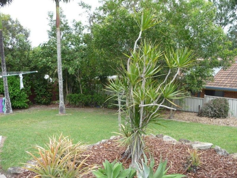 115 Gilston Rd, Nerang QLD 4211