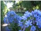 Buderim QLD 4556