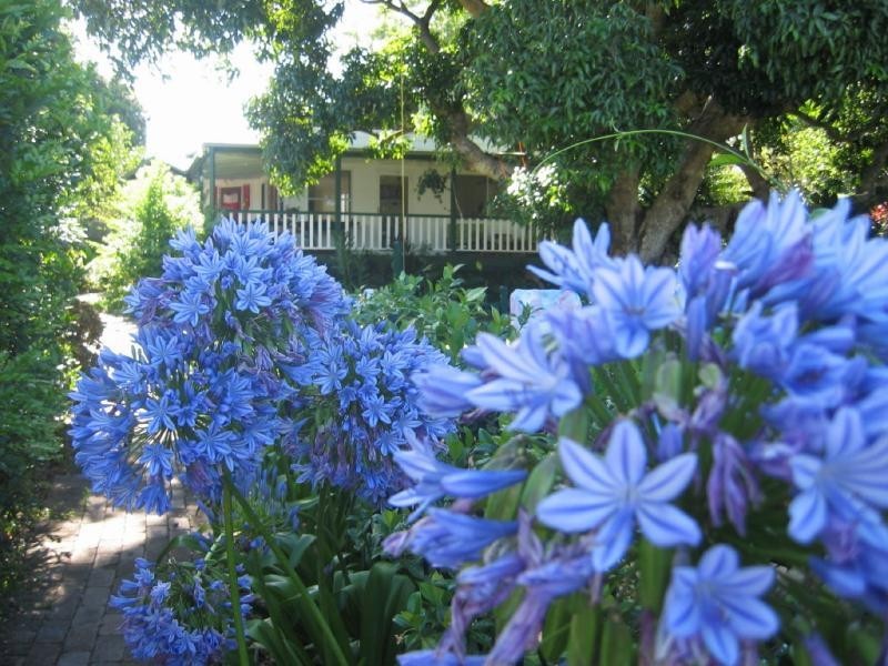 Buderim QLD 4556