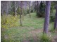 14 Wybelenna St, Brookfield QLD 4069