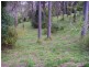 14 Wybelenna St, Brookfield QLD 4069
