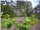 14 Wybelenna St, Brookfield QLD 4069