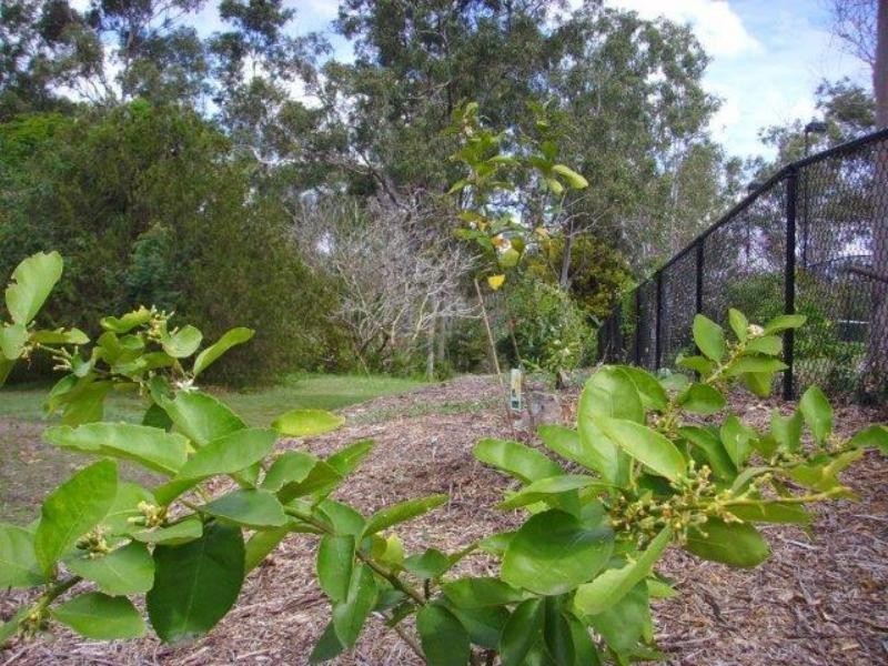 14 Wybelenna St, Brookfield QLD 4069