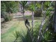 14 Wybelenna St, Brookfield QLD 4069