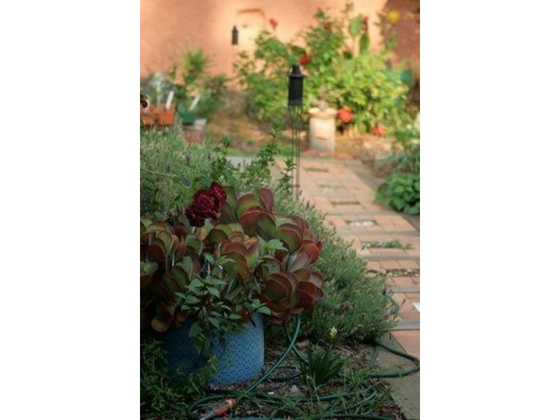 194 Palmtree Rd, Ravensbourne QLD 4352