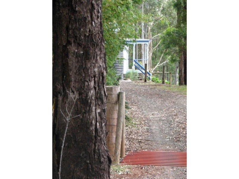 194 Palmtree Rd, Ravensbourne QLD 4352