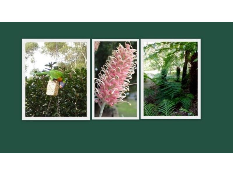 116 Greenbank Dr, Glenhaven NSW 2156