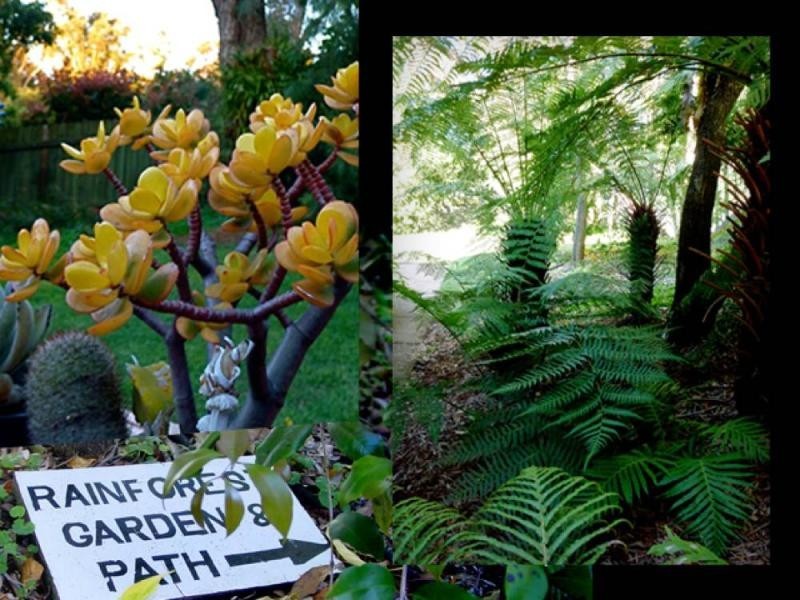 116 Greenbank Dr, Glenhaven NSW 2156