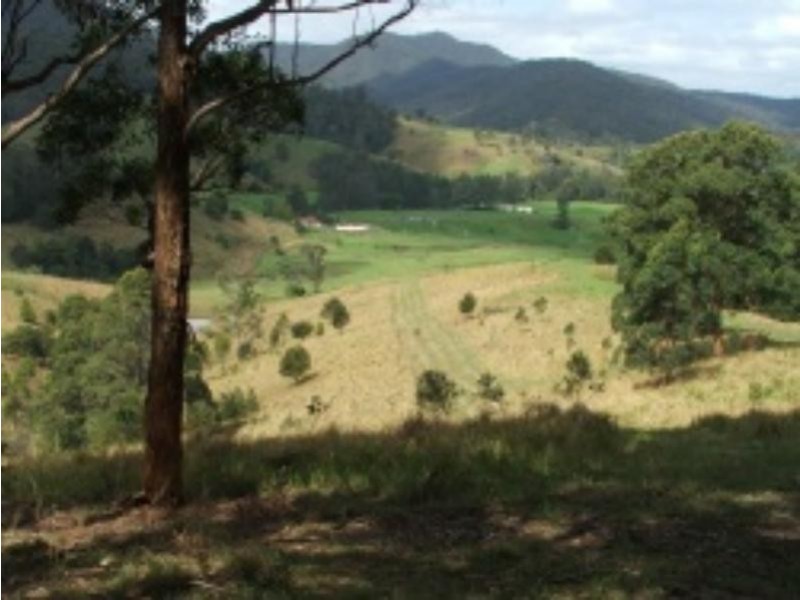 3901 Taylors Arm  Rd, Burrapine NSW 2447